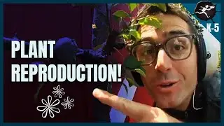 How Do Plants Reproduce? K-5 Science Music Videos by Untamed Science