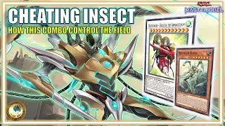 Secret Battlewasp Krawler Tricks That OPPONENTS Can't Counter! | MASTER DUEL