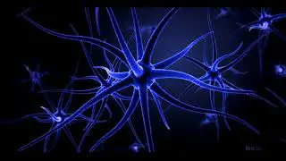 Nerve Cell Firing Signals