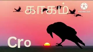 Birds name with story and video in tamil @Jollykidstime03 | பறவைகள் பெயர் easy learning for kids #kg