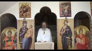 Câteva gânduri despre Sfântul Botez – Pr. Dan Popovici