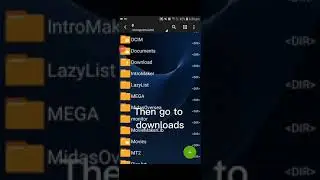 How to download sm 22 beta