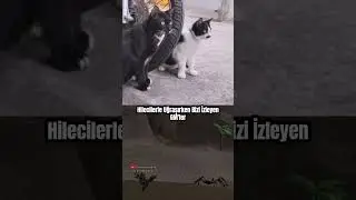 Hilecilerle Uğraşırken Bizi İzleyen GM'ler | GMs Watching Us While We Deal With Cheaters