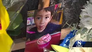 Salinas driver sentenced to 17 years in hit-and-run crash that killed 3-year-old