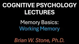 Cognitive Psychology - Memory Pt5 - Working Memory