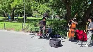 뉴욕재즈 New York Jazz #nycjazz #washingtonsquarepark 