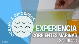Experimento Educativo - El Papel de la Salinidad en las Corrientes Marinas