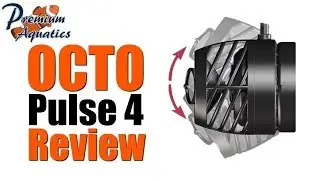 OCTO Pulse 4 Review