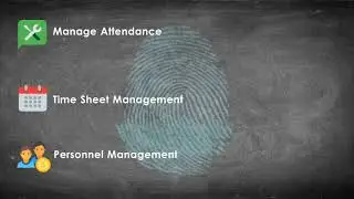 Best Payroll Software Dubai | Payroll Software UAE | HRMS Dubai