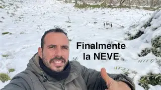 Finalmente la NEVE che fa benissimo alle piante e alla terra,un buon 2026 a tutti voi.