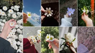 Hand Dpz With Flower 🌺 || Hand Dpz For Girls 🔥 | Flowers insta dpz | Dpz for girls #dpz