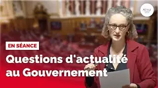 Questions d'actualité au Gouvernement du mercredi 29 janvier 2025