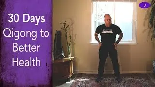 Day #3 - Brushing the Meridians - 30 Days of Qigong to Better Health - Chris Shelton Qigong