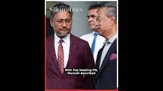 Stronger party Pas should lead PN for stability, says Muhyiddin ex-aide