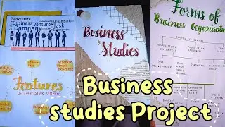BUSINESS STUDY PROJECT FILE IDEA || CLASS 11 ||  #projectfiledecoration