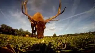 TomBob Outdoors and the Keystone Elk Country Alliance TV Spot