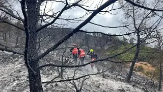 Incendie dans l'Aude : 