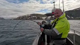 Fiske efter Hälleflundra i Havoysund 2024