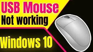 🆕Usb-мышь не работает в Windows 10 | Исправление проблемы с мышью в Windows 10 | Обязательно к пр...