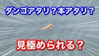 紀州釣り寝ウキのダンゴアタリと本アタリ【チヌ釣り.黒鯛釣り】