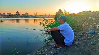 هل تصدق ؟ هذا الطعم البسيط يصطاد أكبر الأسماك