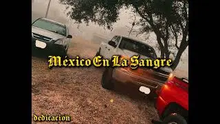 México En La Sangre 