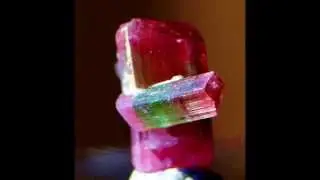 Watermelon Tourmaline Crystal specimen