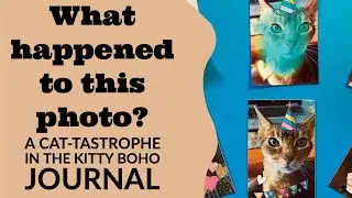 I have a CAT-tastrophe in my Kitty Boho Journal!