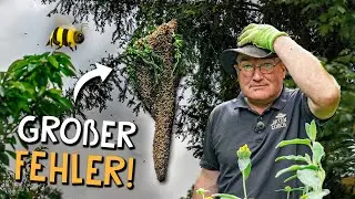 Gartenrundgang im Mai 🌷 - Meine Projekte im Garten, Gewächshaus & Bienenschwarm