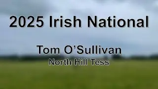 Tom O'Sullivan - North Hill Tess - 2025 Irish National Sheep Dog Trial