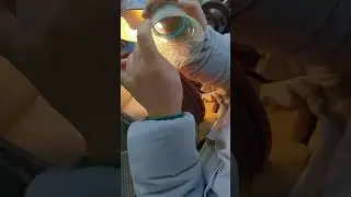 Hand cut to clear glass whiskey glass