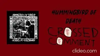 [2025] Hummingbird of Death and Crossed Comment - Split (Grindcore/Fastcore) (full album stream)