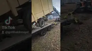 This is why women live longer #free #scrap