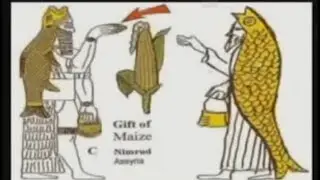 The Annunaki Are Holding Corn Cobs Not Pine Cones, or Pineal Glands‼️