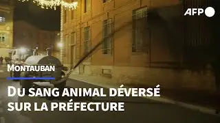 Des agriculteurs aspergent la pr&eacute;fecture de Montauban de sang animal | AFP