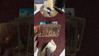 ✨✨✨✨НАПАДКИ КРОВНИКОВ, МАГИЧАТ-  ЛИ ОНИ ? 💫💫💫💫