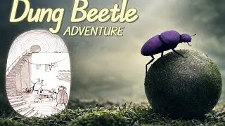 Dung Beetle Adventure| Cuộc phiêu lưu của bọ hung