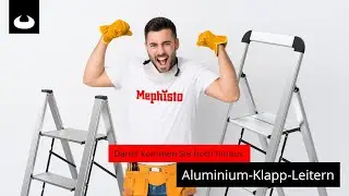 Aluminium Leitern   Art Nr  55000