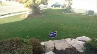 Watch! Electric Trap Donald Trump Sign! Hillary Clinton Supporter Gets Shocked Stealing Yard Sign