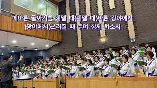 하소서(원당교회 할렐루야찬양대)/박성일곡-예수나의 기쁨14집