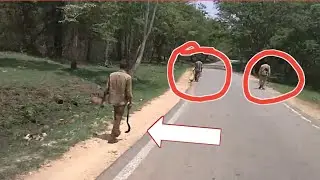 Very Dangerous Forest In KARNATAKA || BR HILL'S & K.GUDI