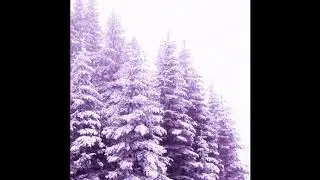 [FREE] HOMESHAKE type beat 