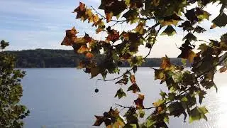 Indiana Film Race - Lake Lemon