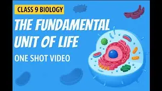 Class 9 Biology - The Fundamental Unit of Life | One Shot Full Chapter | Cell Structure & Functions