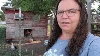 Hatching Turkeys, Chores, Garden Work, Tiny House Wall Covering... It's A Day on the Homestead!