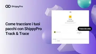 Come tracciare i tuoi pacchi con ShippyPro