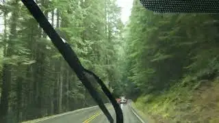 14. Drive to Mt. Rainier National Park, Ashford, Washington, GP-12381