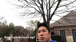 Goo Lawn fall clean up