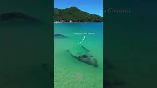 Fam&iacute;lia esse navios Est&aacute; enterrados 71  Anos aqui na praias Sul da ilha .dizem que tem ouro kkkk
