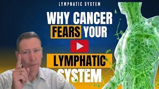 Why Cancer Fears Your Lymphatic System
